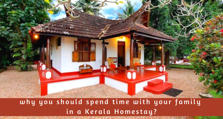 Kerala homestay