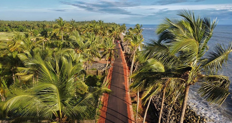 A stunning view of Kappad beach in Calicut, Kerala with coconut trees on the other side of the beach.