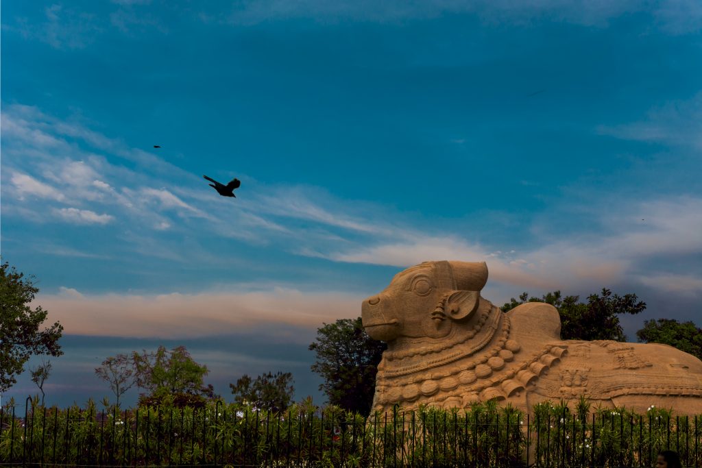 A magnificent view of monolithic Nandhi statue at Lepakshi Temple in Andhra Pradesh.