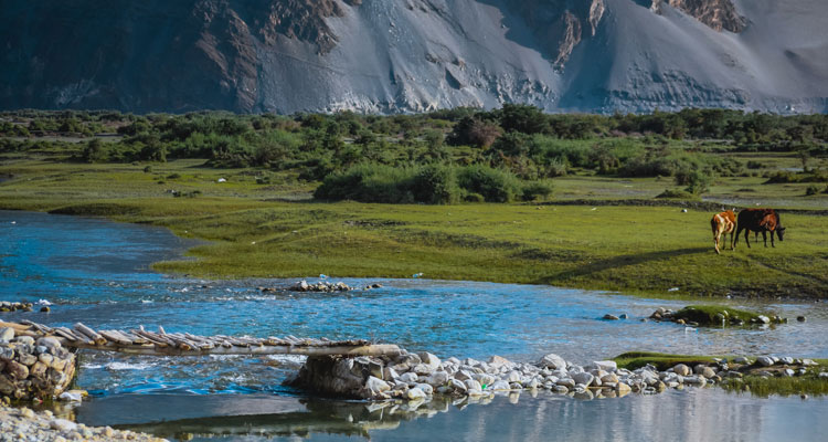 A scenic view of Nubra valley in Ladakh