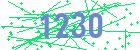 captcha-IP