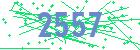 captcha-IP