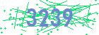 captcha-IP