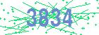 captcha-IP