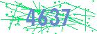captcha-IP