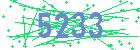 captcha-IP