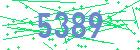 captcha-IP