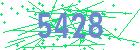 captcha-IP