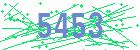 captcha-IP