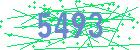captcha-IP