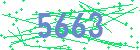 captcha-IP