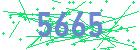captcha-IP