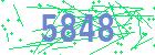 captcha-IP
