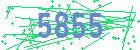 captcha-IP