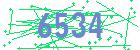 captcha-IP