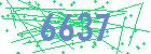 captcha-IP