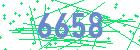 captcha-IP