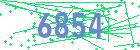 captcha-IP