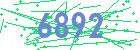 captcha-IP