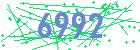captcha-IP