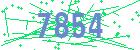 captcha-IP