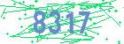 captcha-IP
