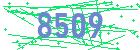 captcha-IP