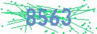 captcha-IP