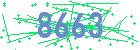 captcha-IP