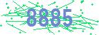 captcha-IP