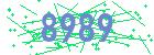 captcha-IP