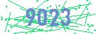 captcha-IP