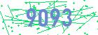 captcha-IP