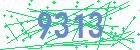 captcha-IP