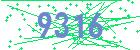 captcha-IP