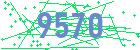 captcha-IP