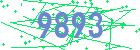 captcha-IP