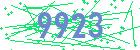 captcha-IP