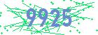 captcha-IP